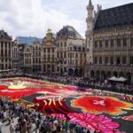 BELGICA-BRUSELAS-ALFOMBRA DE FLORES