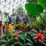 CANADA-VANCOUVER-CONSERVATORIO BLOEDEL-REAPERTURA