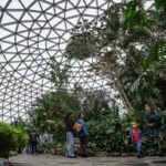 CANADA-VANCOUVER-CONSERVATORIO BLOEDEL-REAPERTURA