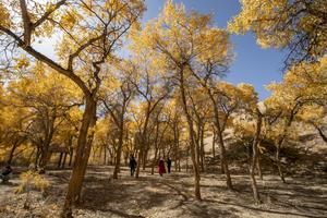 CHINA-OTOÑO-PAISAJE