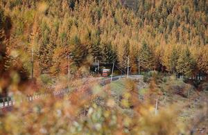 CHINA-OTOÑO-PAISAJE