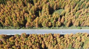 CHINA-OTOÑO-PAISAJE