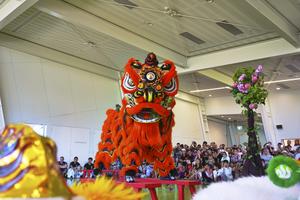 NUEVA ZELANDA-CHRISTCHURCH-CONCURSO DE LA DANZA DEL LEON