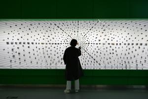 CHINA-SHAANXI-UNIVERSIDAD NORTHWEST A&F-PARQUE DE EXPOSICIONES