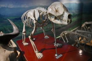 CHINA-SHAANXI-UNIVERSIDAD NORTHWEST A&F-PARQUE DE EXPOSICIONES