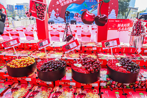 De los huertos chilenos a las mesas chinas: el fruto de una cooperación de beneficio mutuo