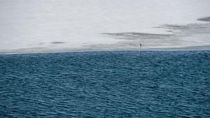 CHINA-LAGO QINGHAI-PAISAJE PRIMAVERAL