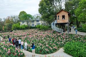 CHINA-CHONGQING-TURISMO RURAL-PRIMAVERA