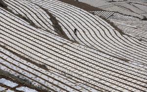CHINA-GANSU-TIANSHUI-AGRICULTURA DE PRIMAVERA