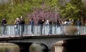 REINO UNIDO-LONDRES-PRIMAVERA-VIDA COTIDIANA-PAISAJE