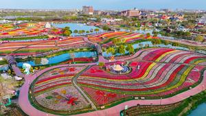 CHINA-JIANGSU-DESARROLLO ECOLOGICO