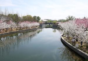 CHINA-BEIJING-RIBERA-FLORES