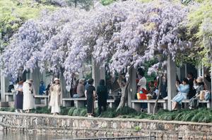 CHINA-PRIMAVERA-PAISAJE