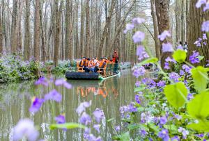CHINA-PRIMAVERA-PAISAJE