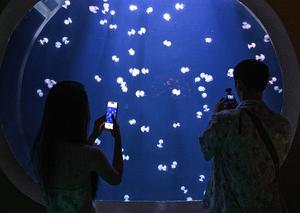 CHINA-HAINAN-SANYA-BIODIVERSIDAD MARINA