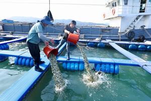 CHINA-FUJIAN-MARICULTURA