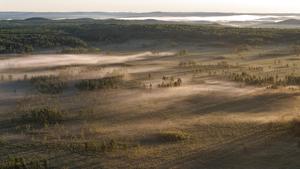 CHINA-HEILONGJIANG-RIO NANWENG-RESERVA NATURAL NACIONAL