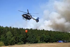 ALEMANIA-GEY-INCENDIO FORESTAL