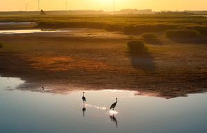 CHINA-HEILONGJIANG-ECOLOGIA-MEJORA