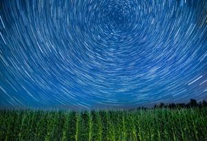 CHINA-HEILONGJIANG-HARBIN-CIELO ESTRELLADO-FRUTAS Y CULTIVOS