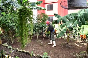 CUBA-HABANA-AGRICULTURA-PROGRAMA