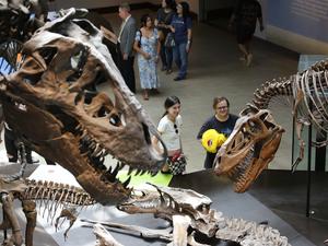 EEUU-CALIFORNIA-LOS ANGELES-DINO FEST